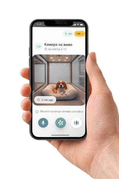 PawSafe app demo